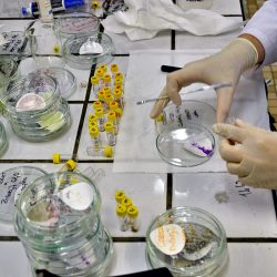 Retour à l'accueil